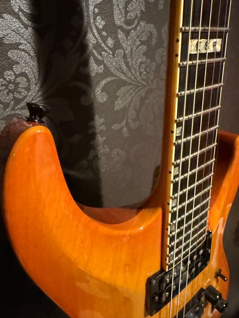 ESP ホライゾンギター　ハードケース付き