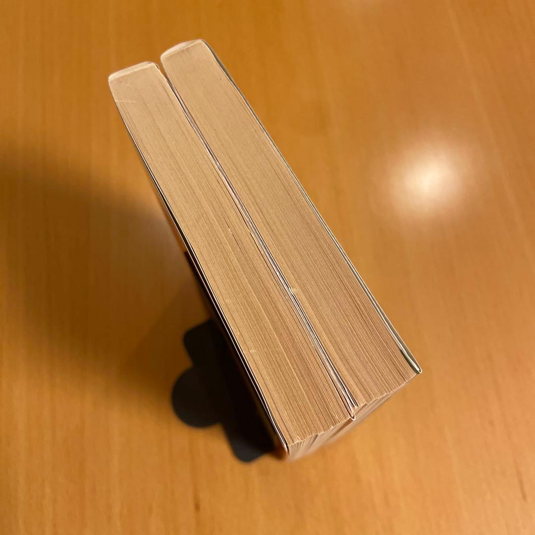 【絶版・希少・２冊組】 母子変容 上 下 有吉佐和子 講談社文庫 【匿名配送】