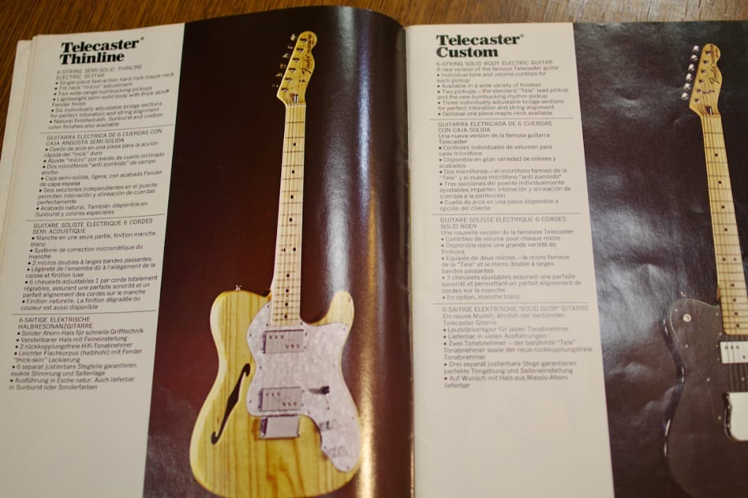 趣味 Vintage 1973 Fender Full Lineup Catalog