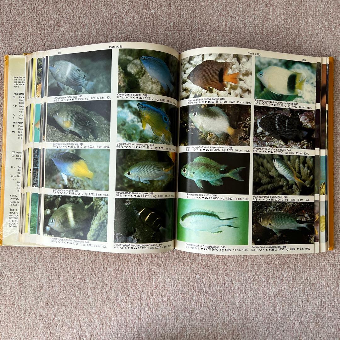 洋書　Dr. Burgess's Atlas of 海水魚　大型本