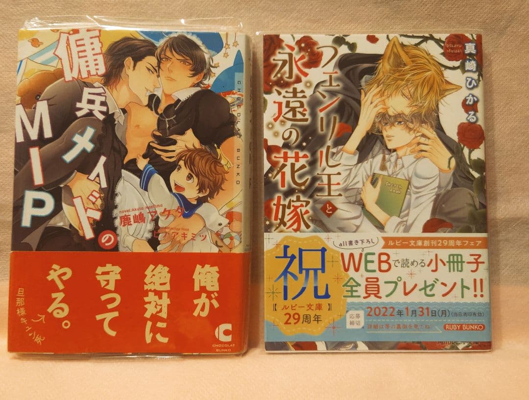BL　30冊セット　 ばら売り可（他の出品と同梱包可能）