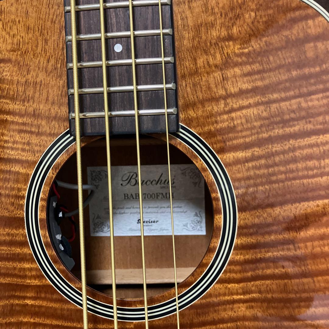 バッカス Bacchus BAB-700FMH ミニエレアコベース 超美中古品