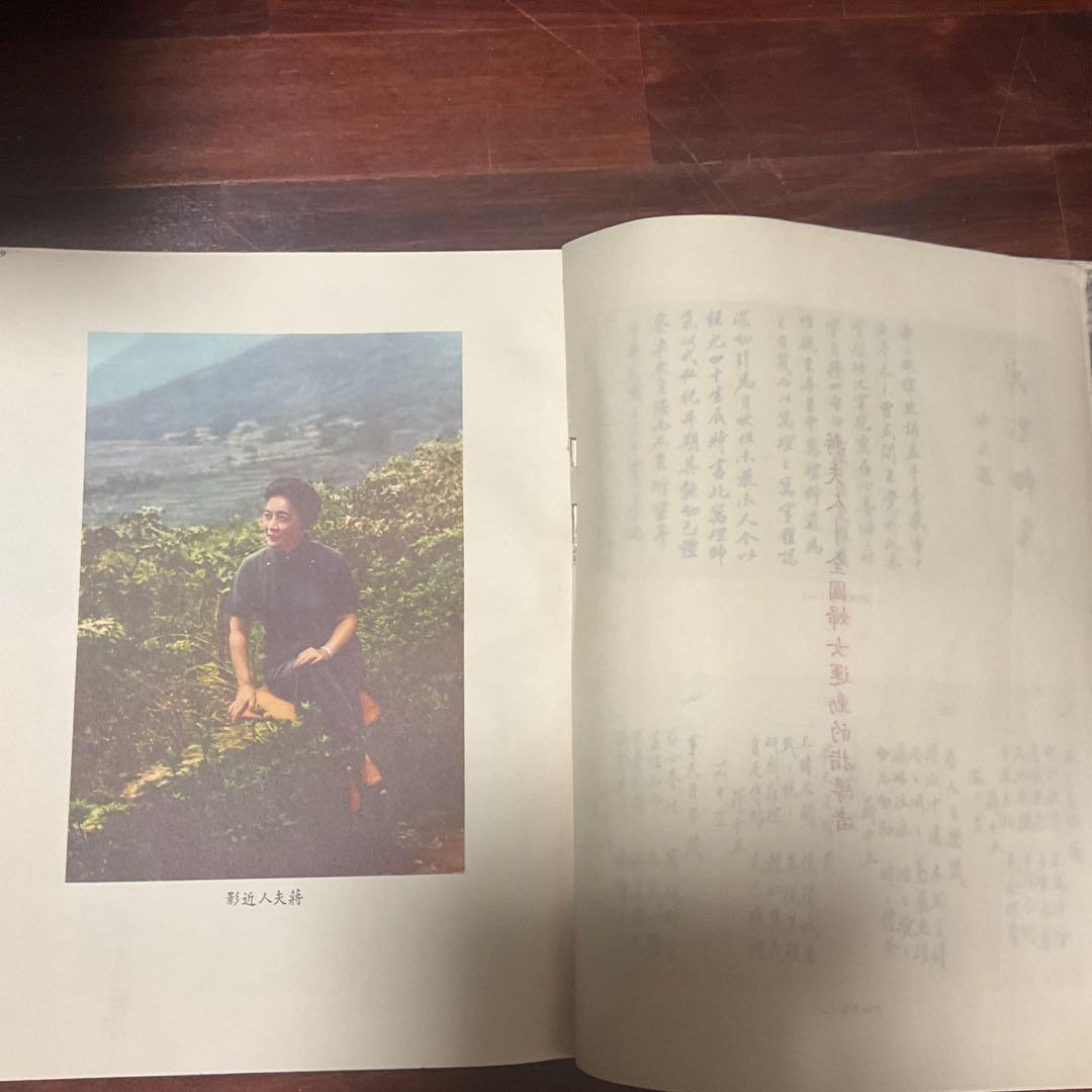 蒋総統画傳