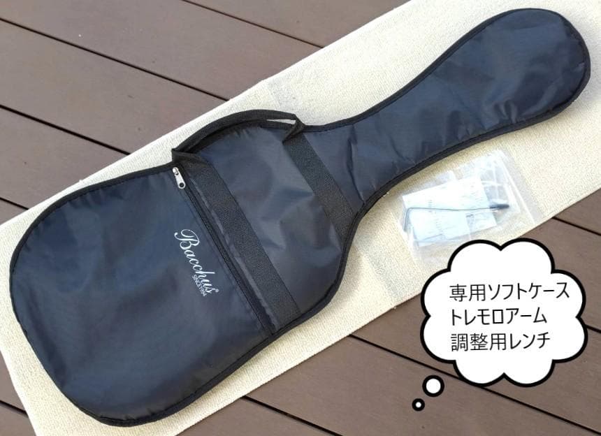 ✨新品未使用✨バッカス サイクロン ネイビー コイルタップ付HB-PU