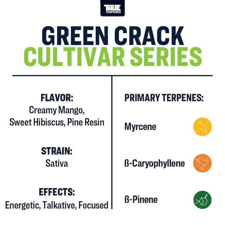TRUE テルペン 香料 CBD CBN CBG 10ml グリーンクラック