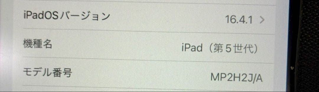 P*。様 iPad 第5世代
