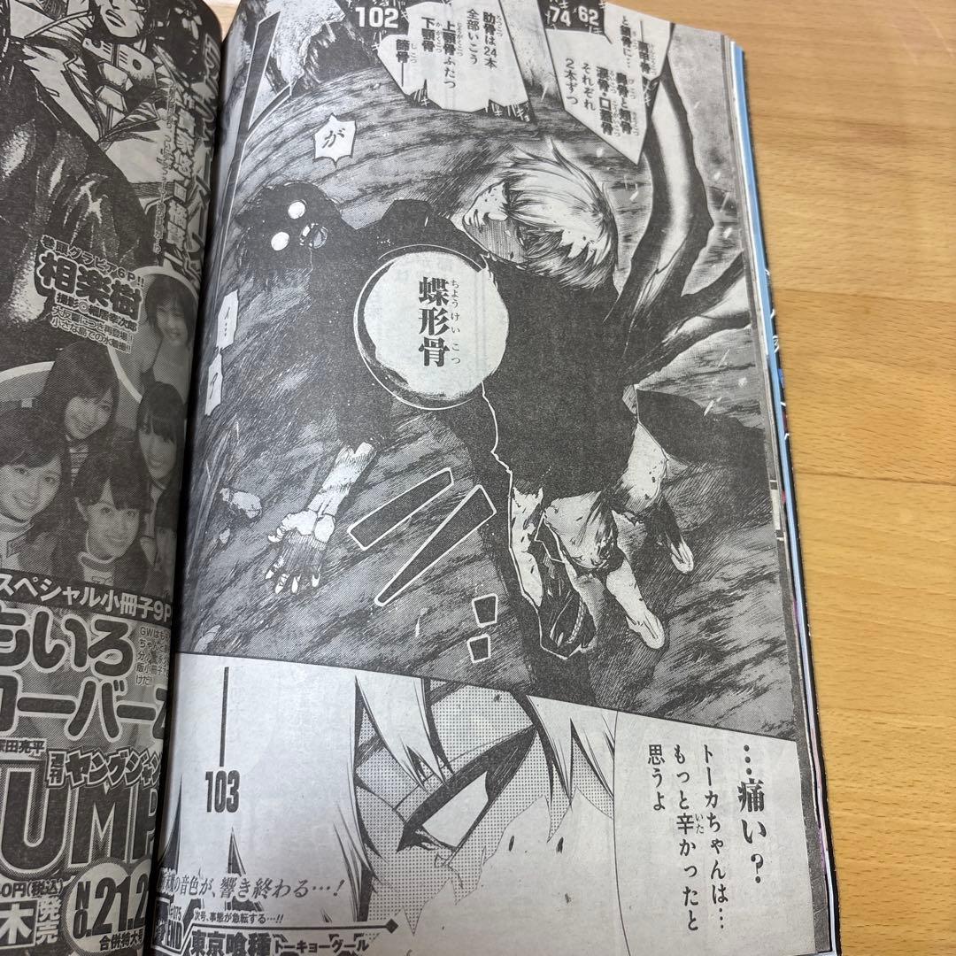 週刊ヤングジャンプ　2013年　No.20号