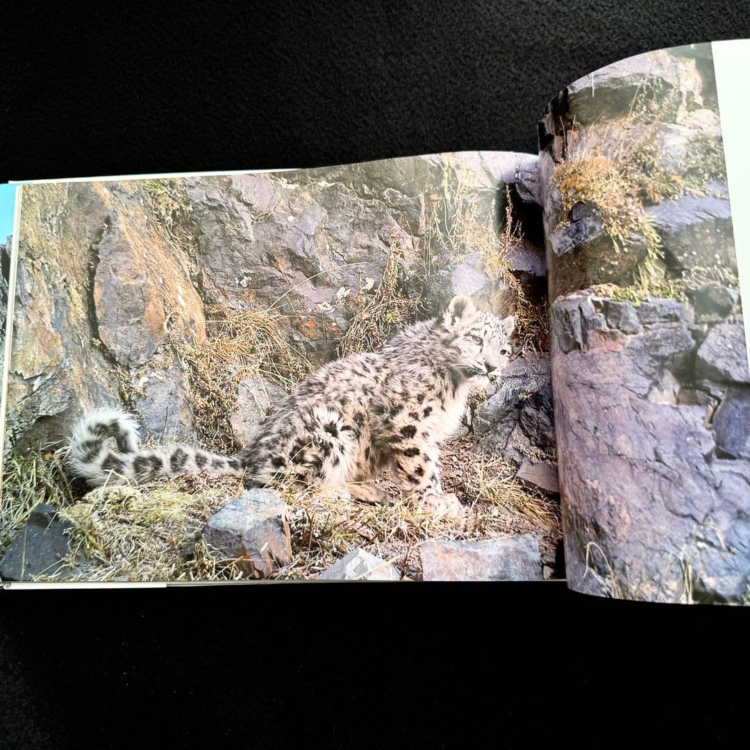 【絶版】「神の獣 雪豹」秋山知伸 監修 2019年 ラーテルハート WWF