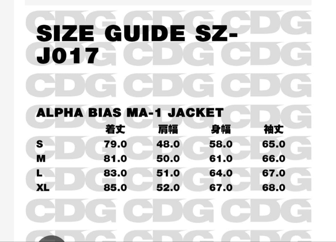 2025年購入　CDG ALPHA BIAS MA-1 JACKET Lサイズ