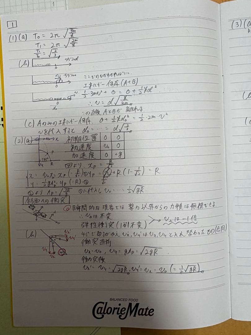 駿台 東北大学対策 夏期・冬期・直前講習 テキスト 板書完品