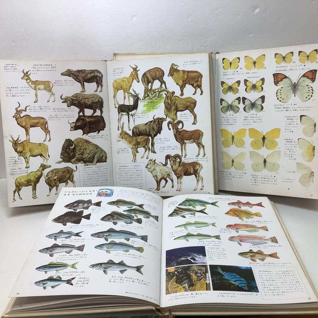講談社　プログラム式こどもカラー図鑑 全13巻セット
