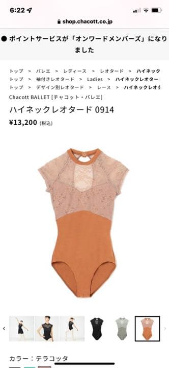 チャコットレオタードMサイズ