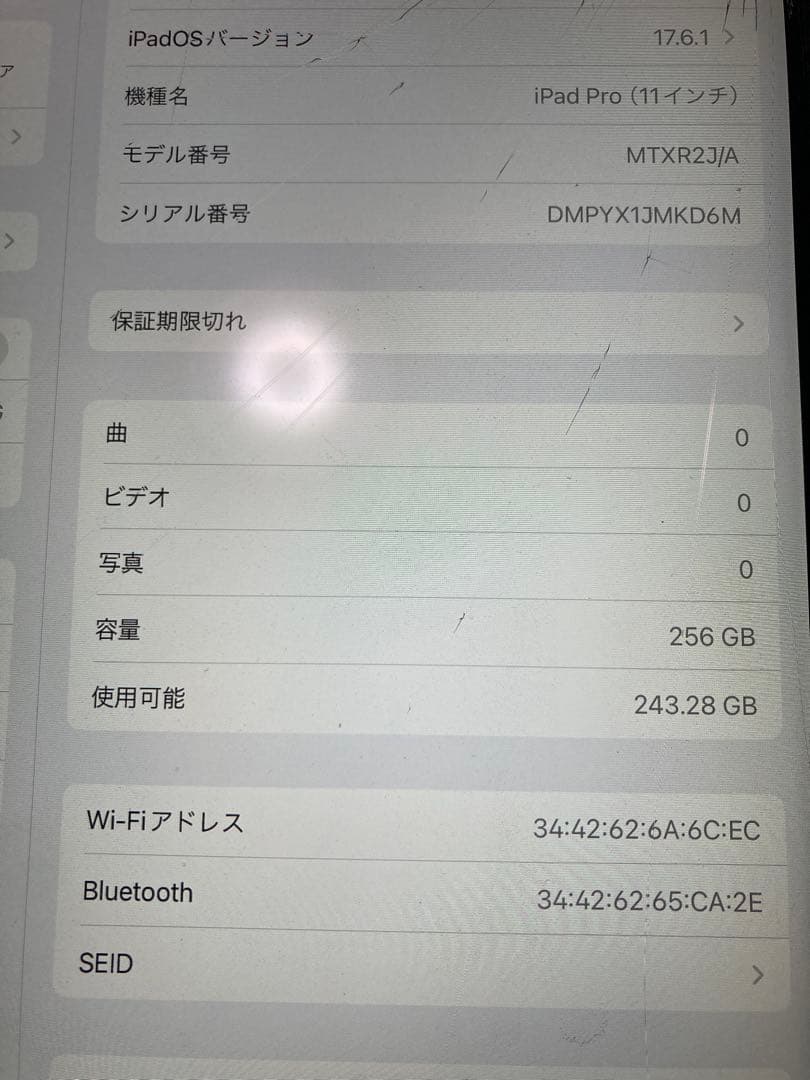 藤本Apple iPad Pro (11インチ) 256GBジャンク稼動