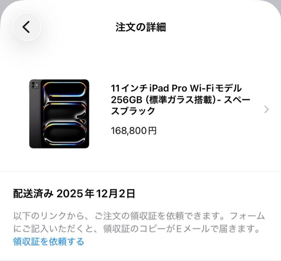付属品完備 極美品 公式12月購入 iPad Pro M5 11インチ 黒