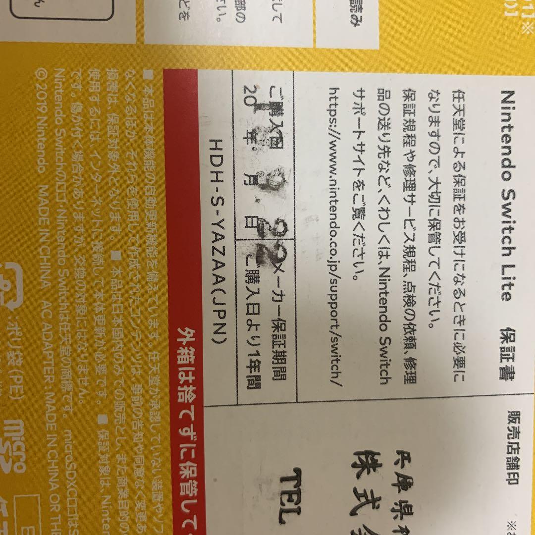 Switch Liteです