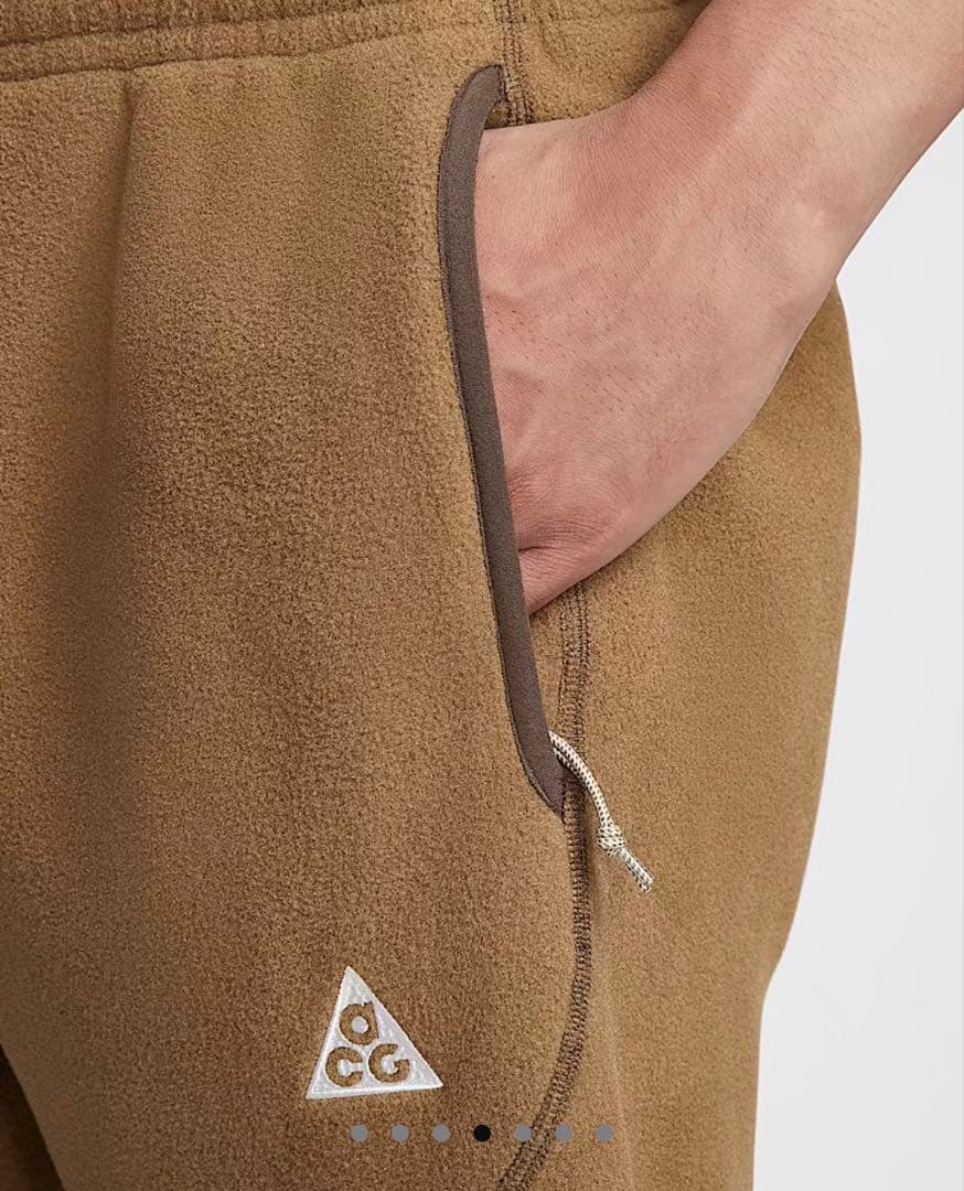 新品未使用 ナイキ ACG Wolf tree ポーラテック メンズパンツ