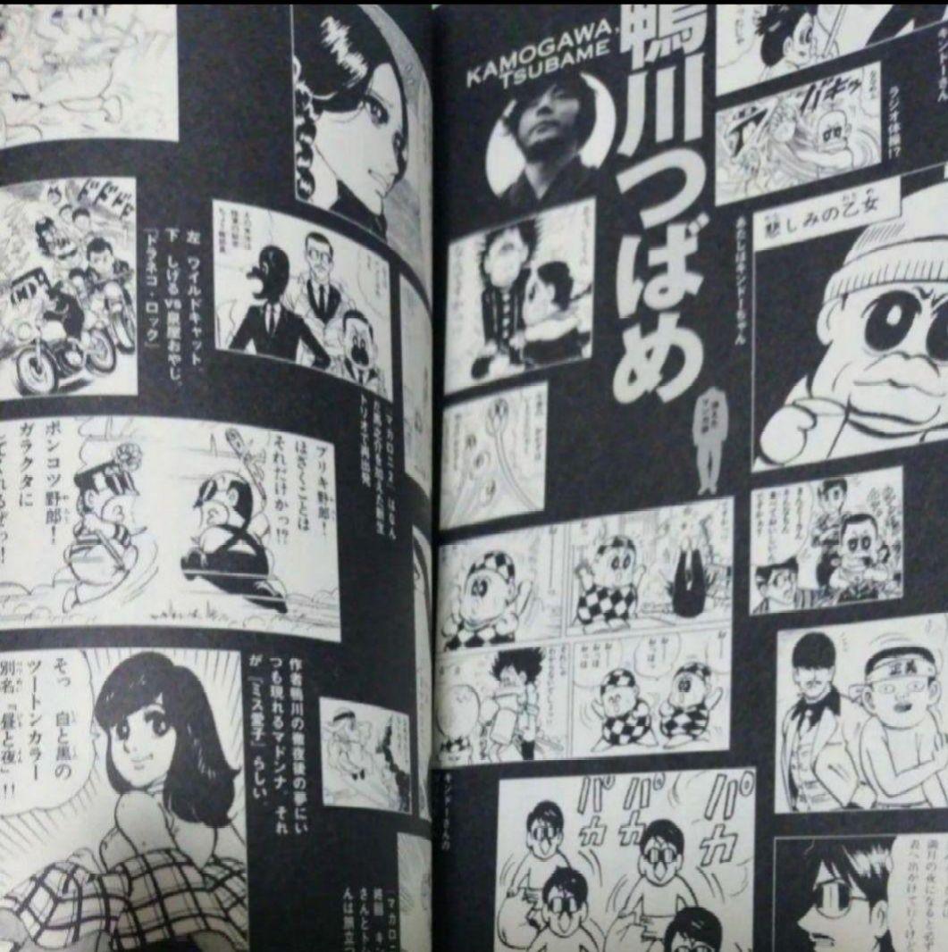 消えたマンガ家 鴨川つばめ＋オマケ