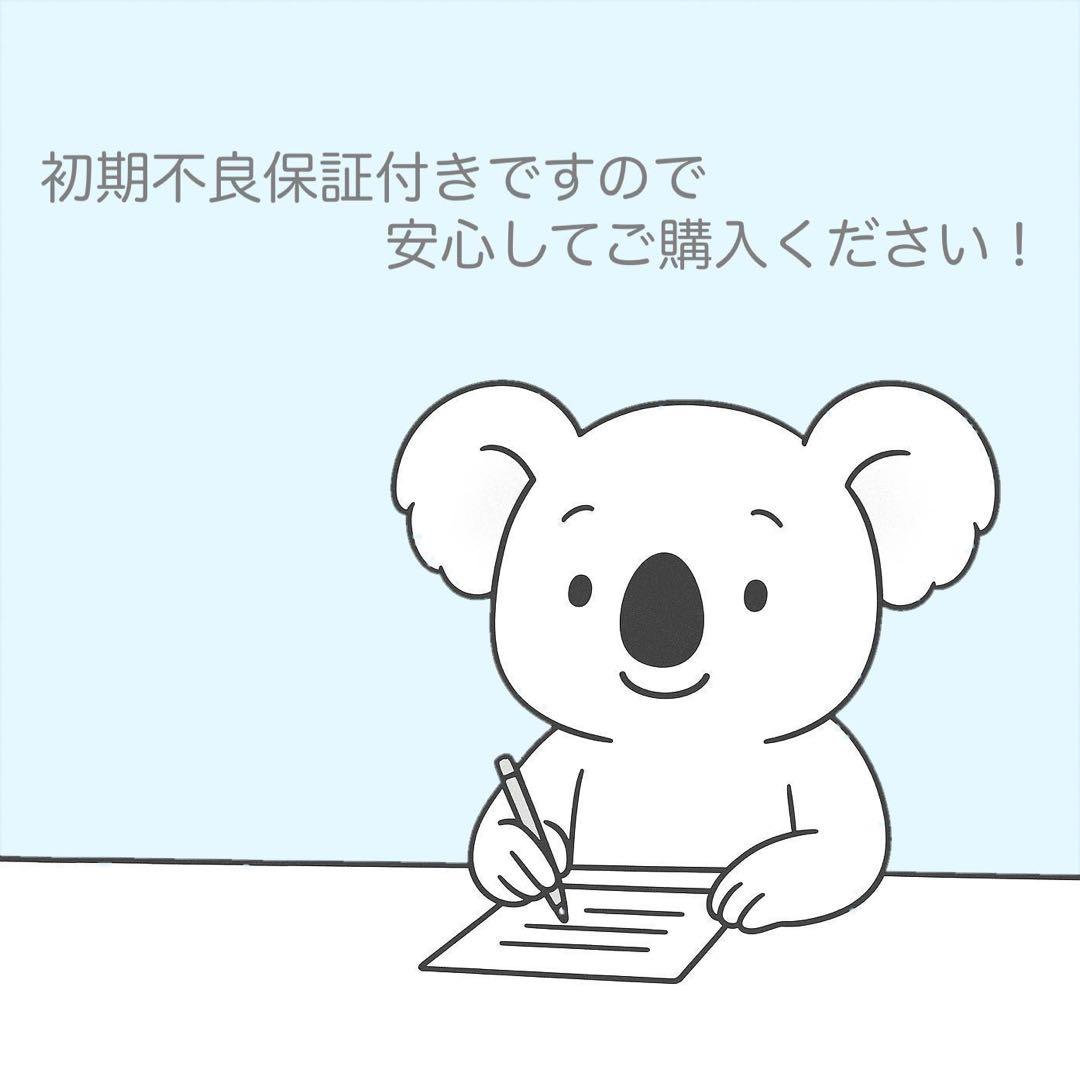 SONY DCR-TRV20 ビデオカメラ a5208