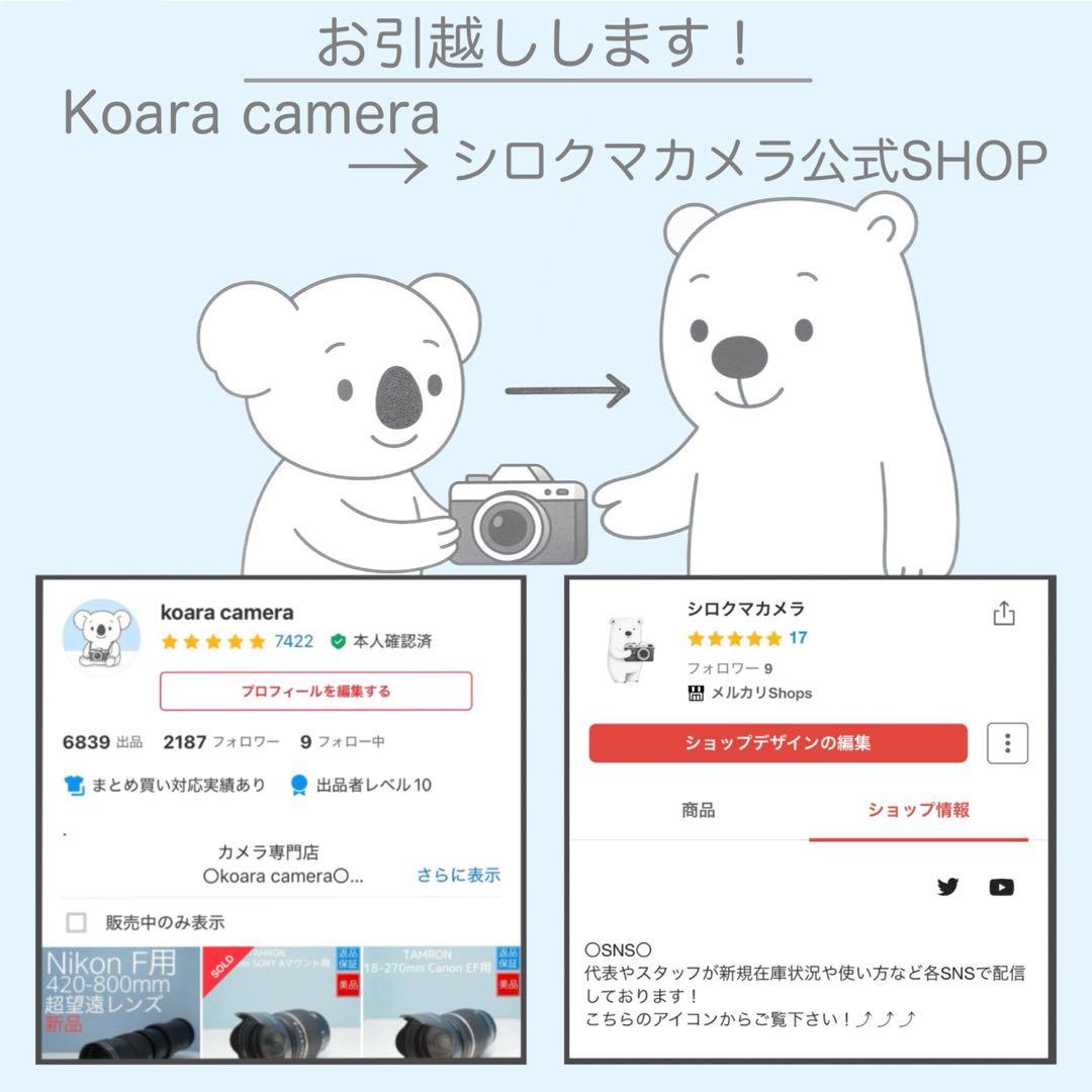 SONY DCR-TRV20 ビデオカメラ a5208