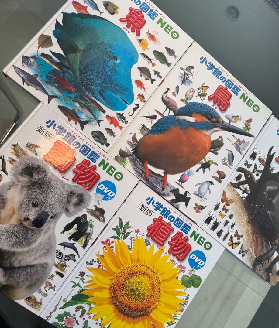 【美品】小学館の図鑑NEO 5冊セット（魚・鳥・昆虫・動物・植物）DVD付き
