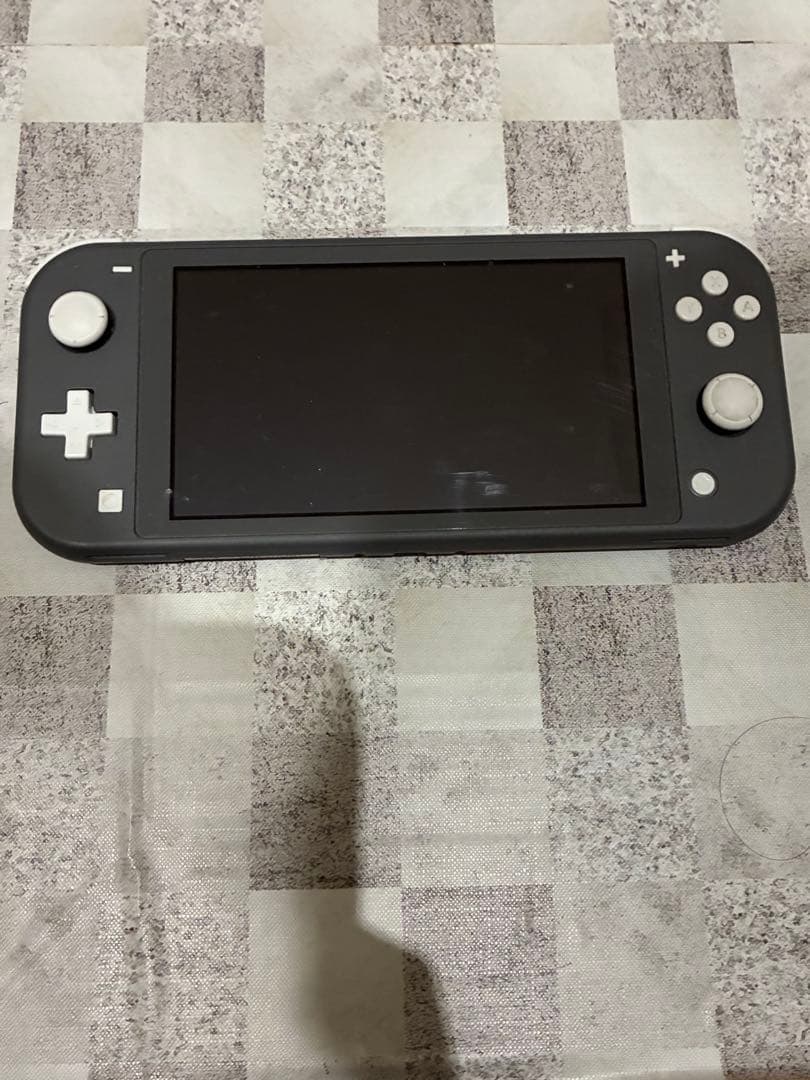 Switchライト本体(ソフト2本)