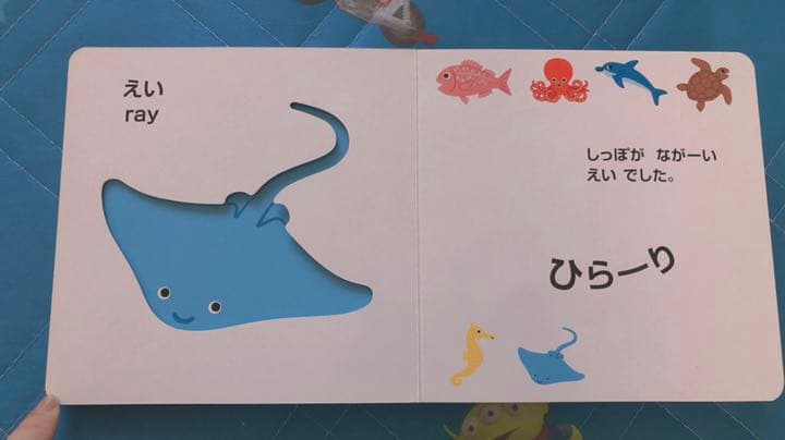 絵本‎✿  ‎うみのいきものかくれんぼ