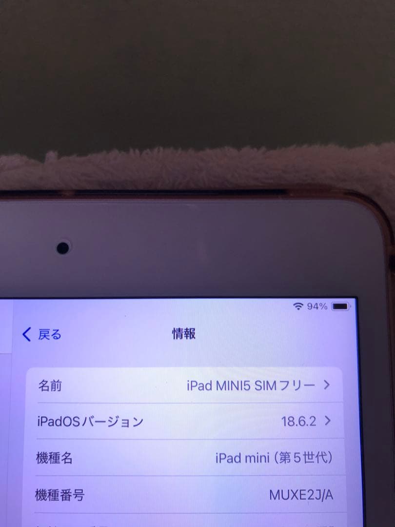 超美品iPad mini 第5世代 Cellular 256GBオマケ沢山付き