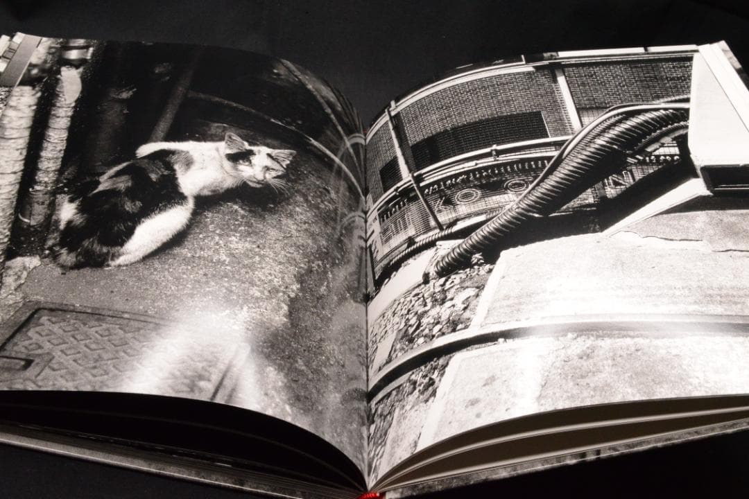 【DAIDO MORIYAMA】森山大道　サイン入　新品未読品　2004年初版