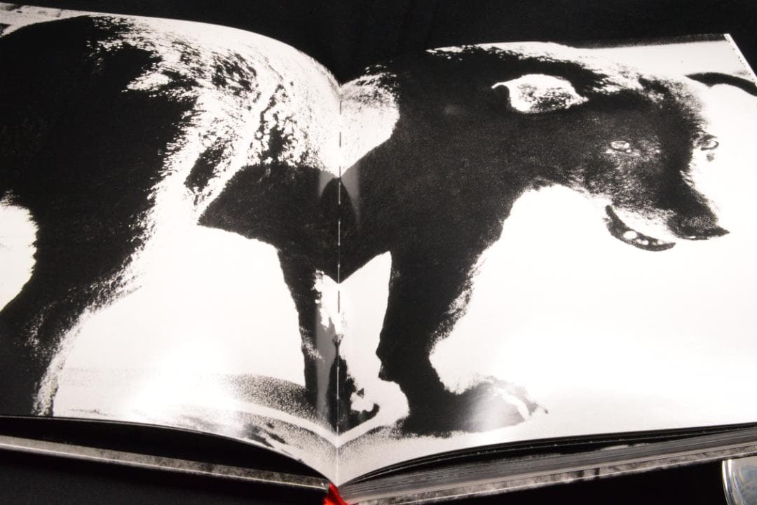 【DAIDO MORIYAMA】森山大道　サイン入　新品未読品　2004年初版