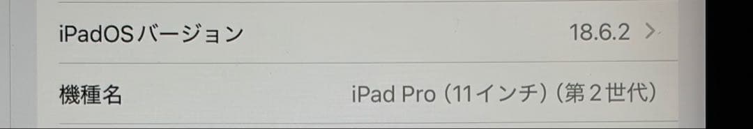 iPad Pro 11インチ スペースグレー