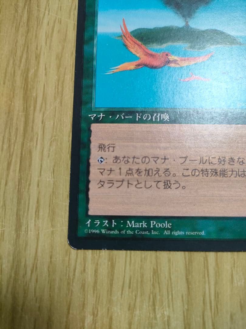 極楽鳥４版５版日本語セット　MTG　マジックザギャザリング