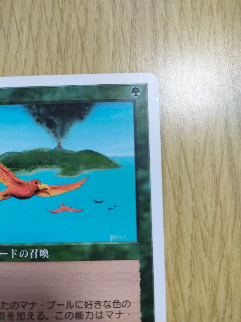 極楽鳥４版５版日本語セット　MTG　マジックザギャザリング