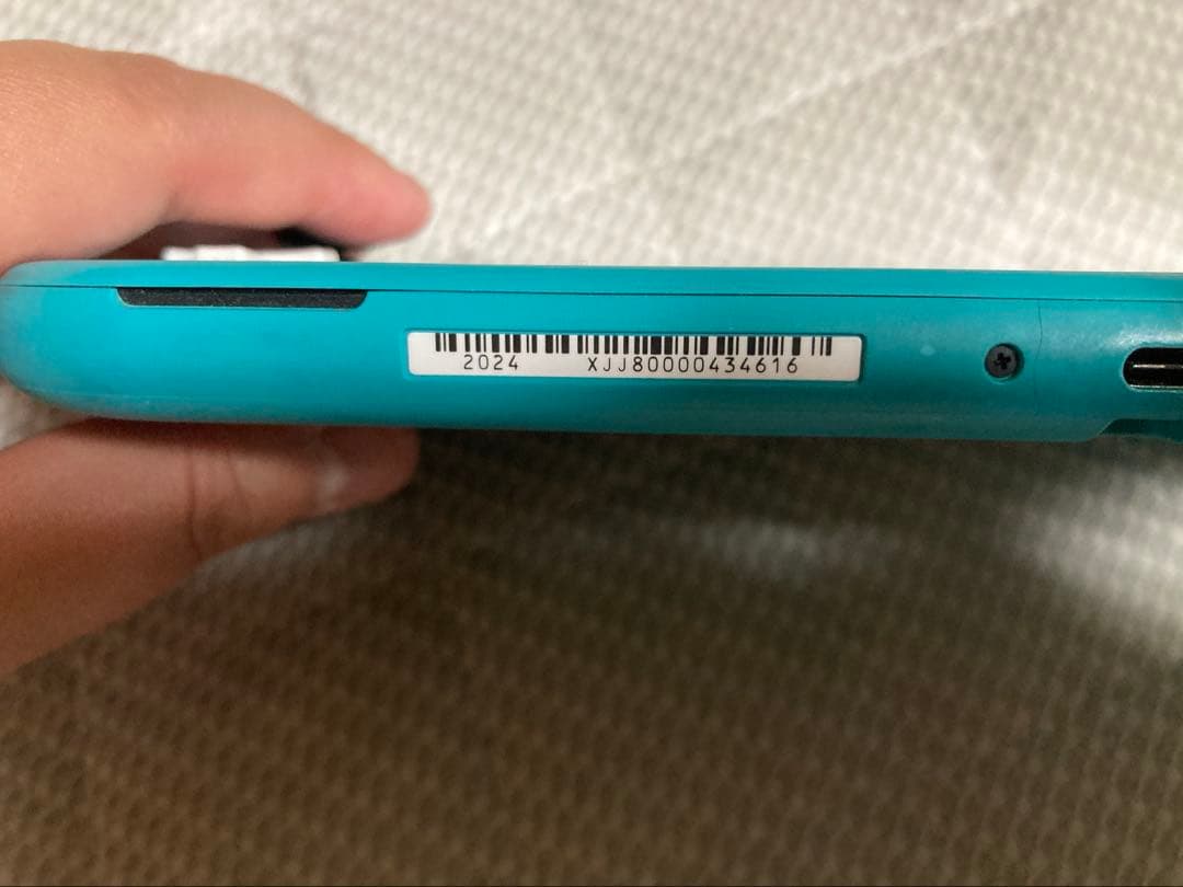 Nintendo Switch Lite ターコイズ本体充電器とゲームソフト付き