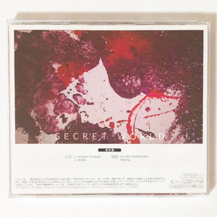 V系★NEVERLAND【SECRET WORLD】通常盤★CD＋DVD