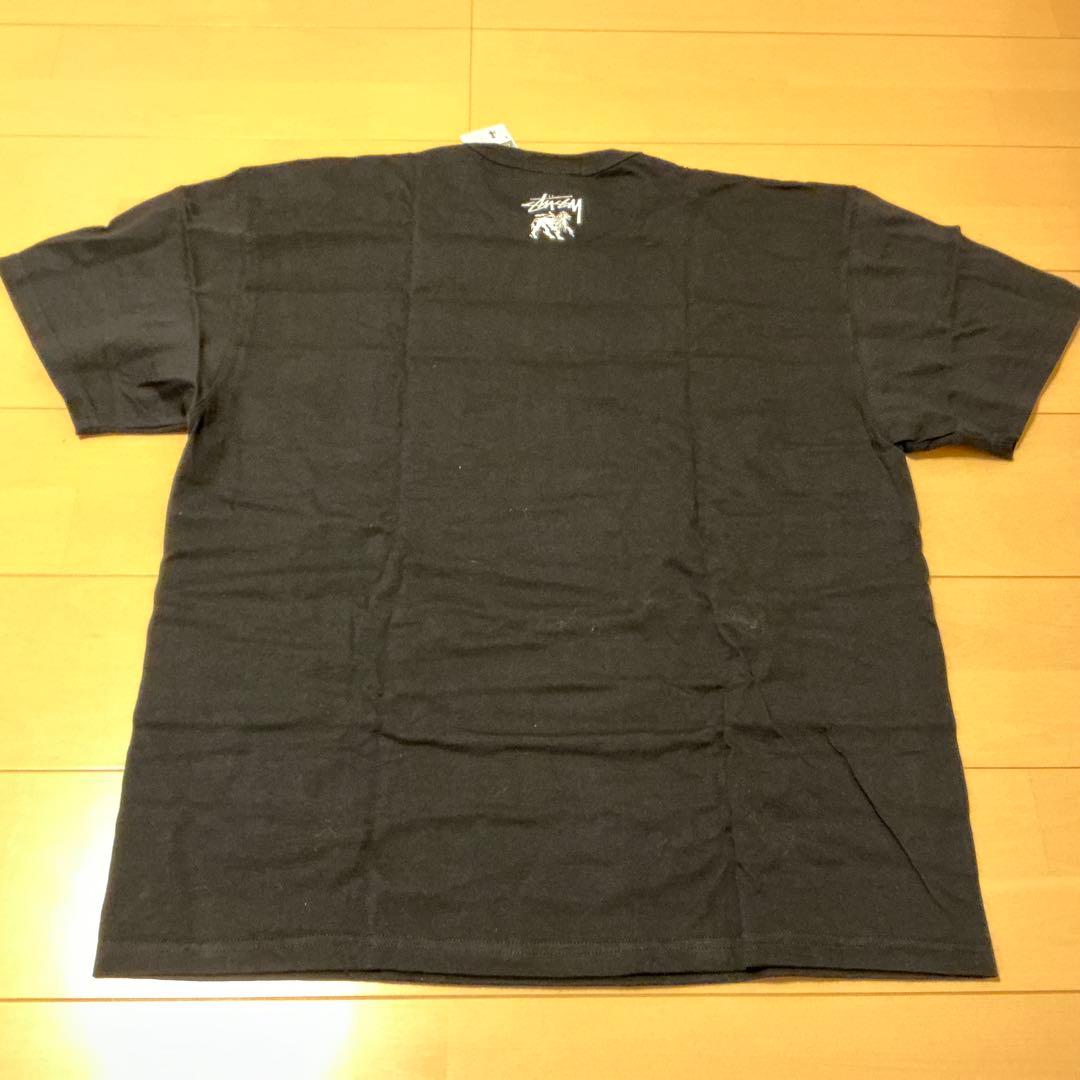 新品00s OLD STUSSY ChampionコラボT LIVE CLEAN