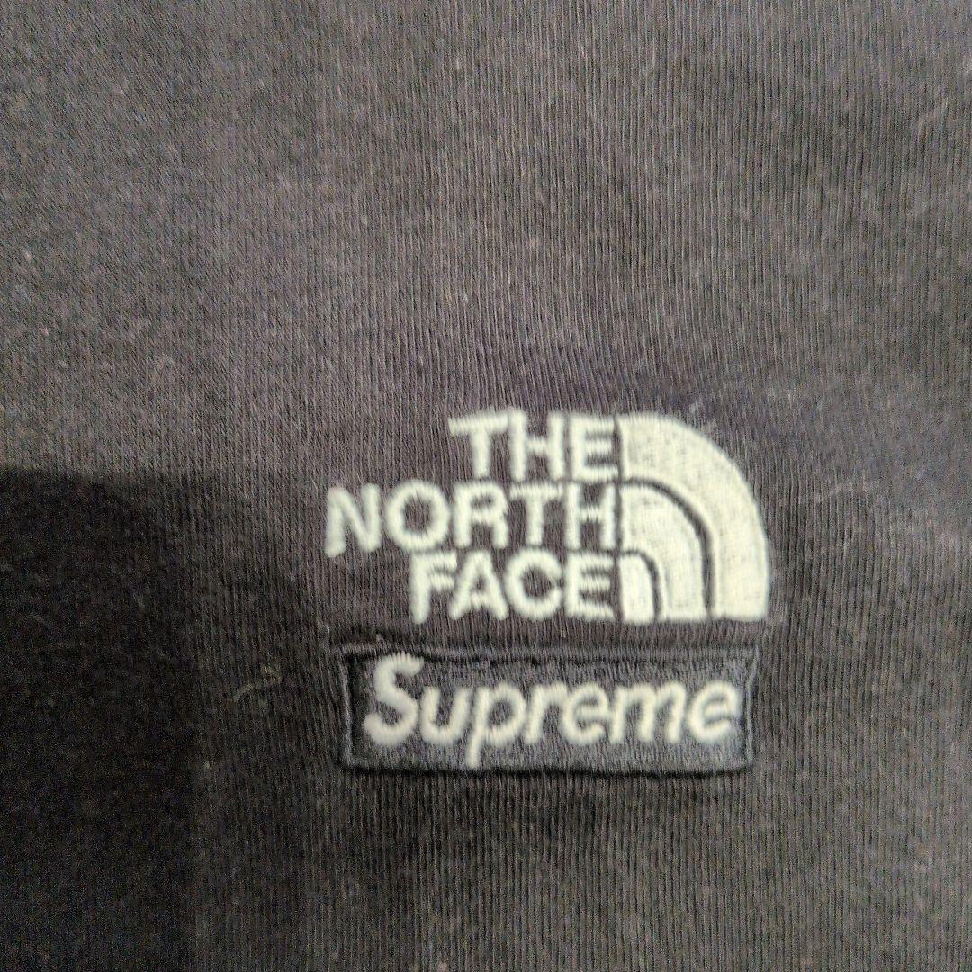 【タグあり】The North Face x Supreme バンダナTシャツ