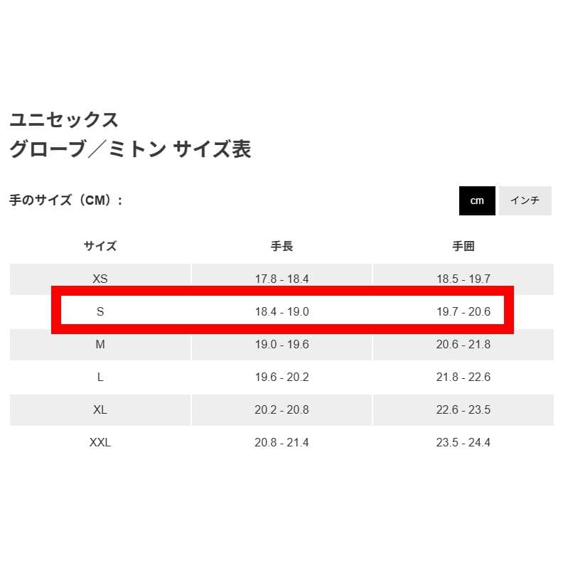ARC'TERYX アークテリクス ゴシック グローブ - Black / S