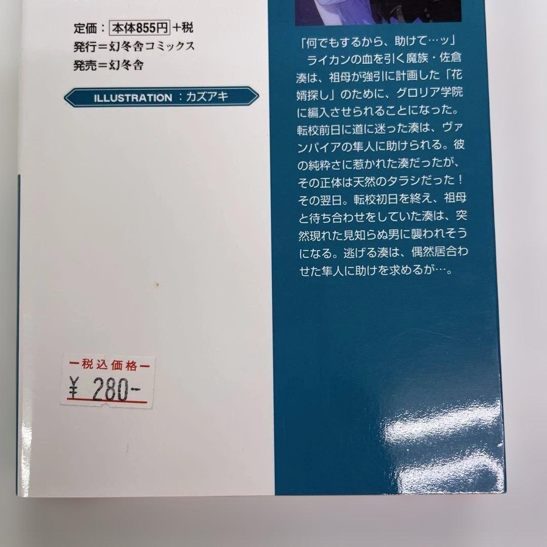 BL小説 ロマンス小説 23冊セット 夜光花 桐嶋リッカ はるの沙帆他