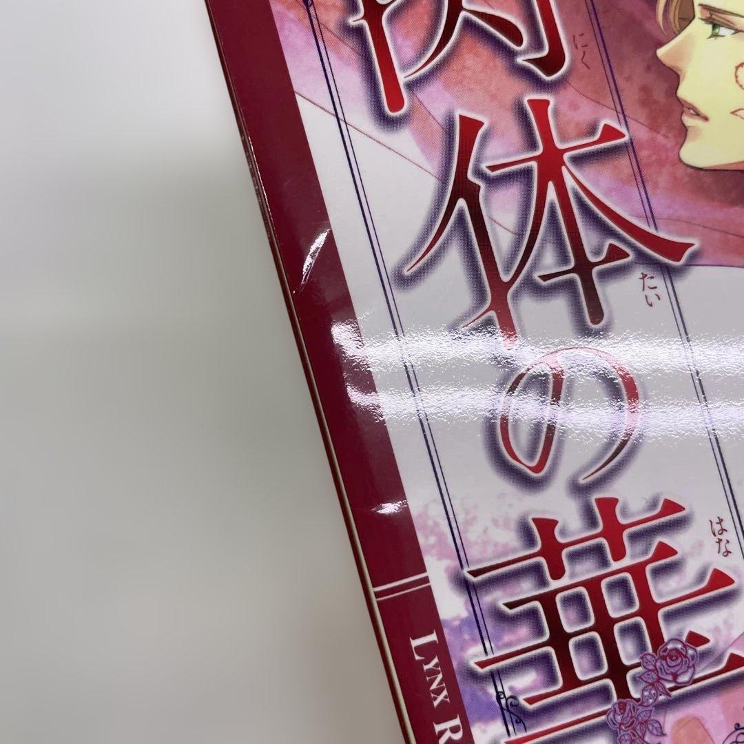 BL小説 ロマンス小説 23冊セット 夜光花 桐嶋リッカ はるの沙帆他