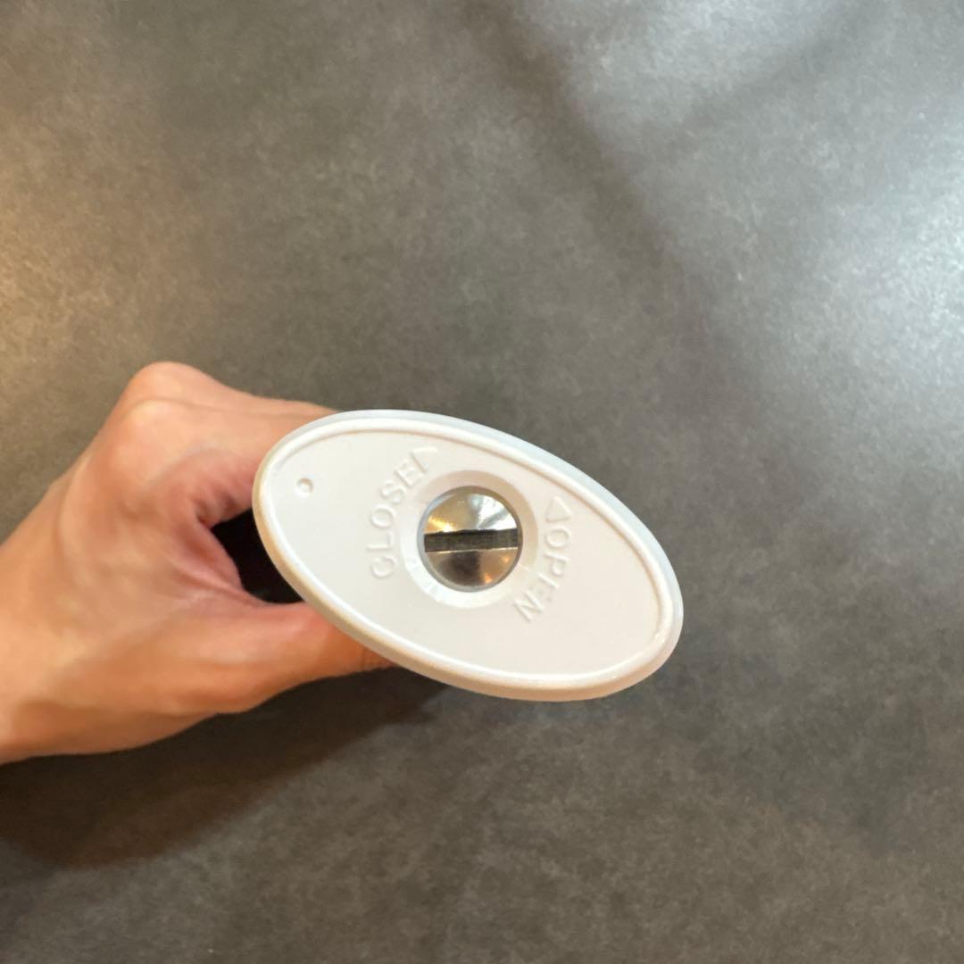 【最終値下げ】Moisteane Lamino モイスティーヌラミノ美顔器