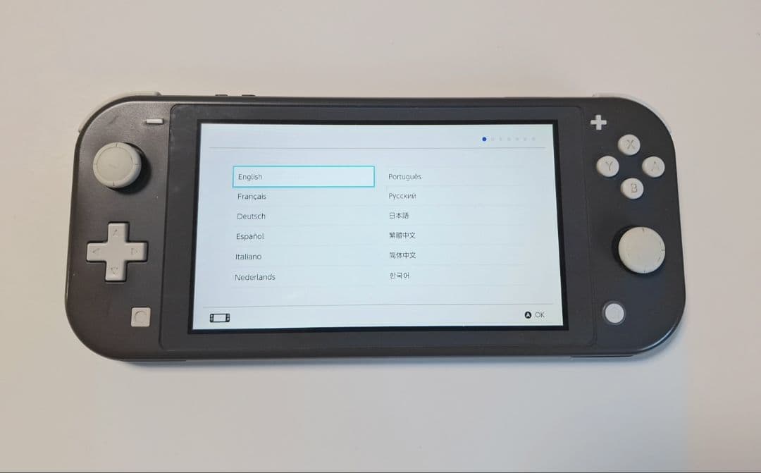 ジャンク スイッチライト グレー switch lite