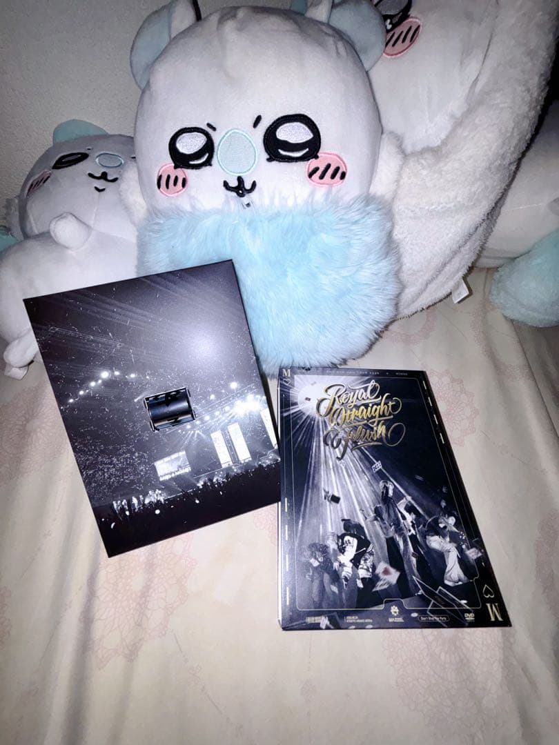 MAZZELライブDVD