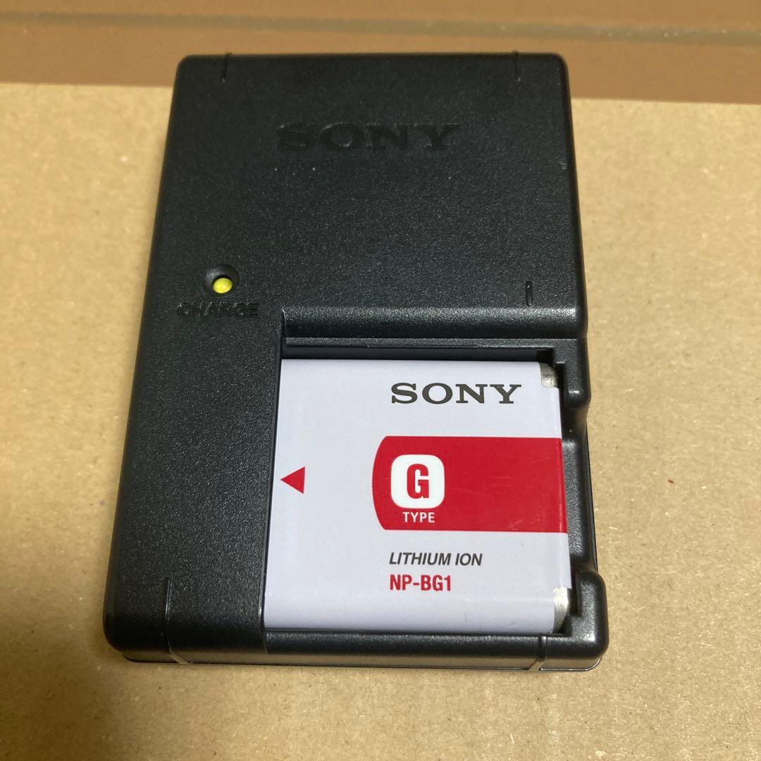 ね*わ様 Sony 防水ハンディカムHDR-GW77 ブラック