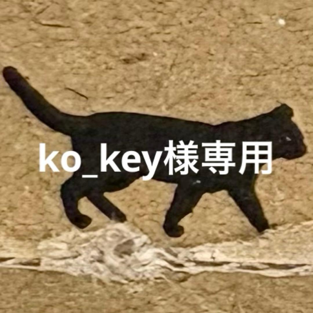 ko_key品