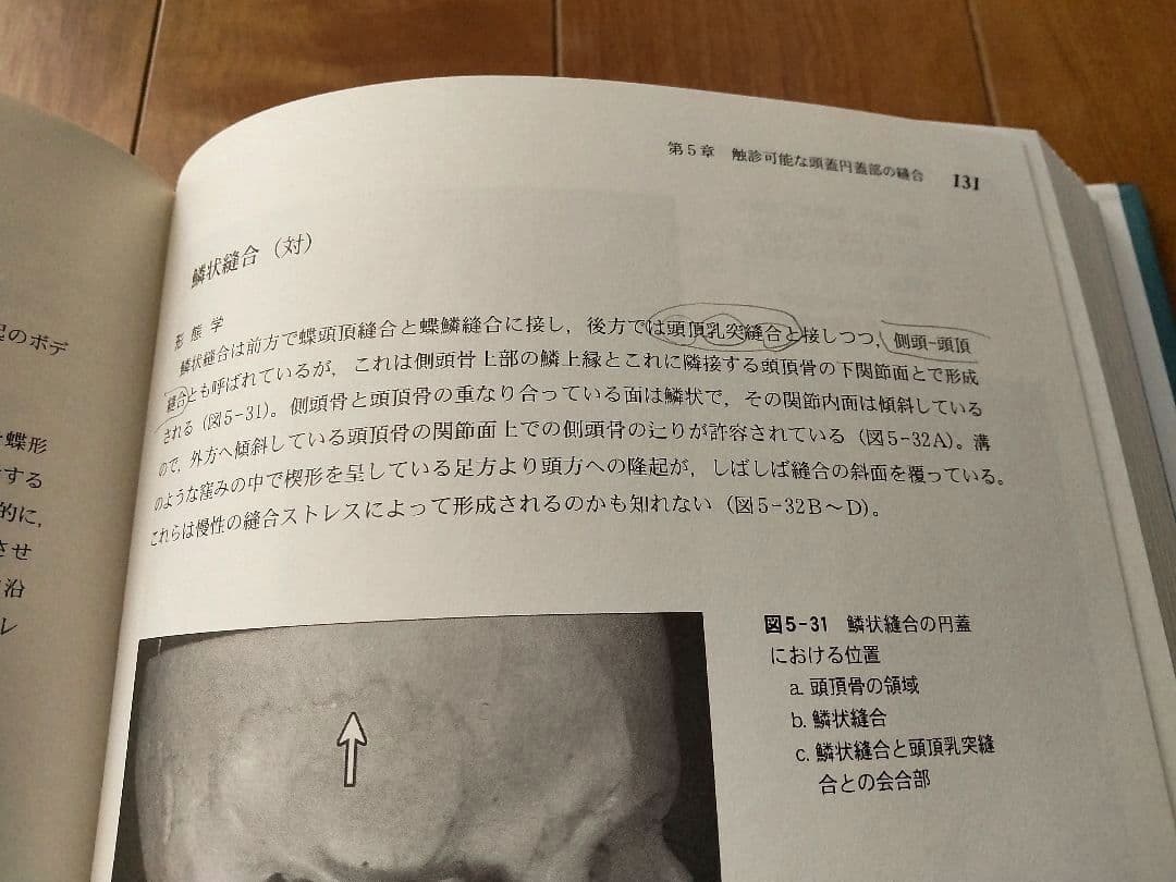 頭蓋縫合 分析、形態学、マニピュレーション