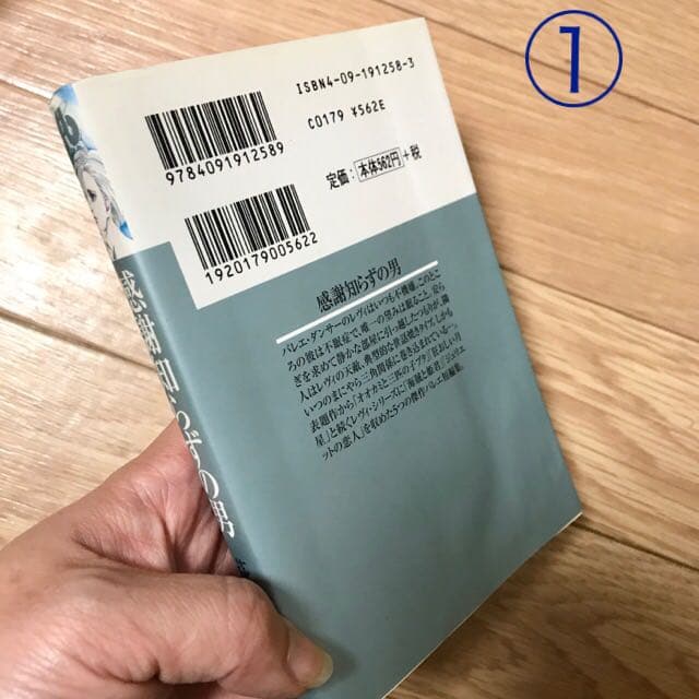 良品多数　萩尾望都　文庫版19冊セット