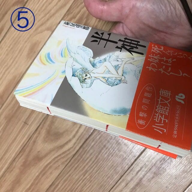 良品多数　萩尾望都　文庫版19冊セット