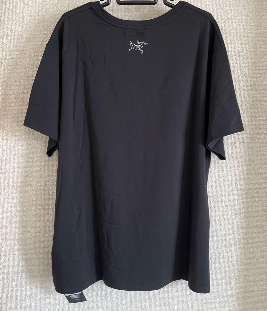 Downword SS T-Shirt W ダウンワード アークテリクス