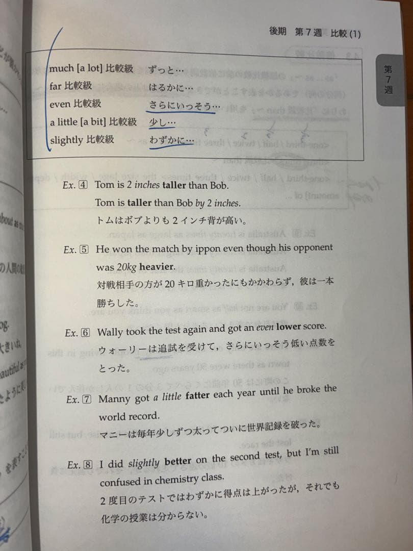 英語発展講座 英文法 高1 鉄緑会　英語