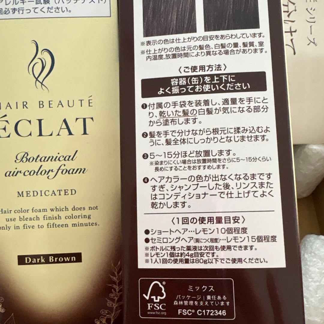 BEAUTE ÉCLAT ボタニカルエアカラーフォーム ダークブラウン